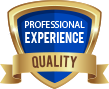 Professional experience quality
